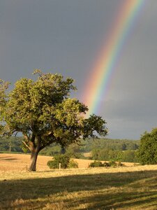 Rainbow colors colorful