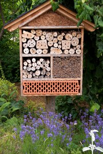 Insect hotel nützlingshotel garden