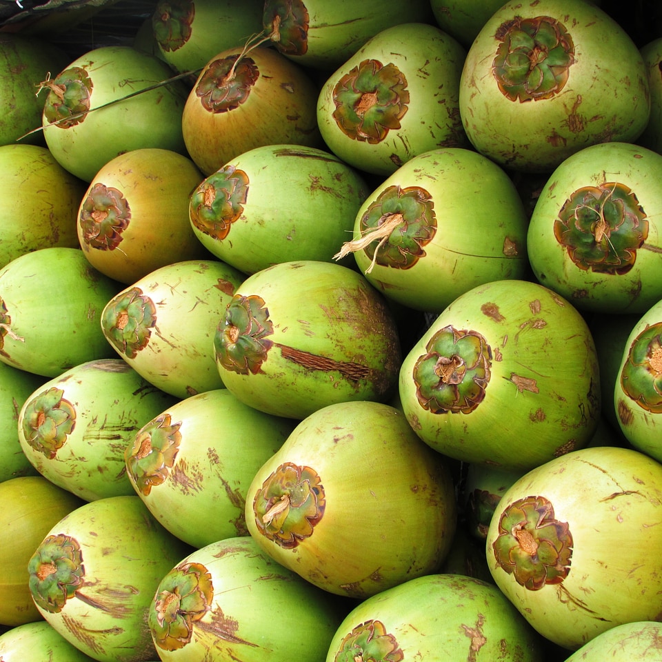 Green seed drupe