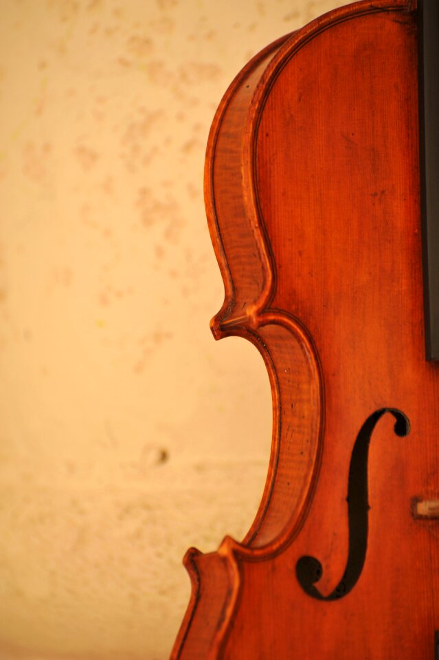 Musical instrument musician