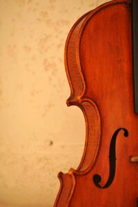 Musical instrument musician