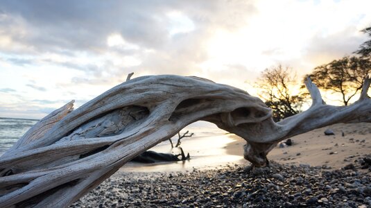 Sand nature paradise