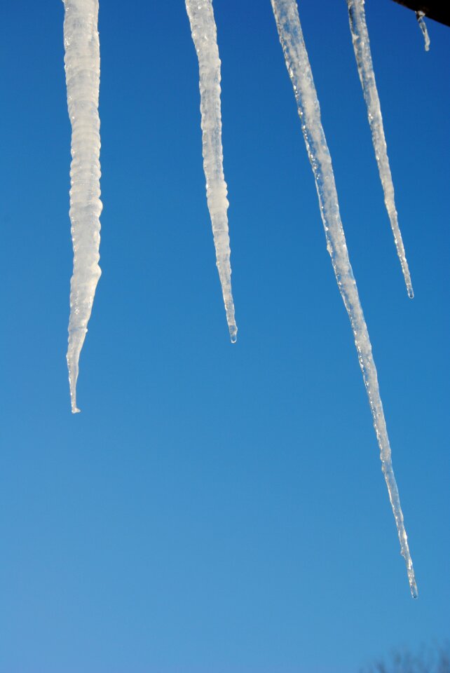 Frozen blue icicle