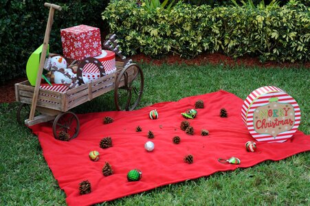 Decoration holiday decorative