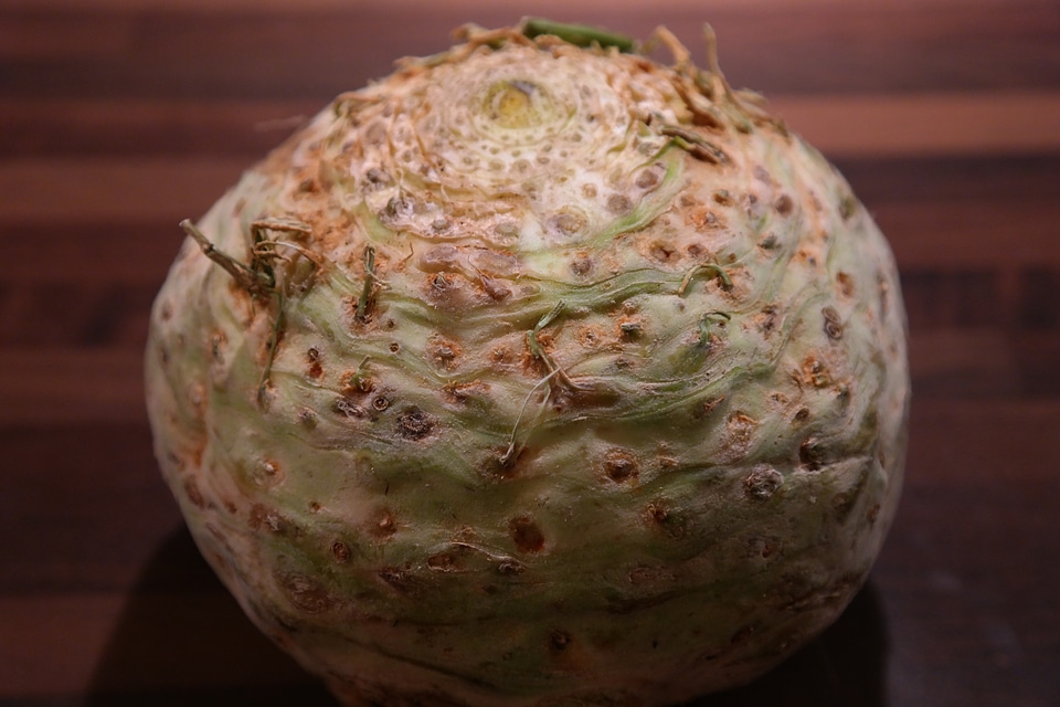Turnip tuber apium graveolens var rapaceum