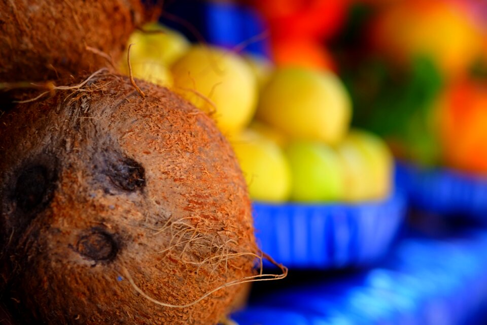 Tropical fruits walnut