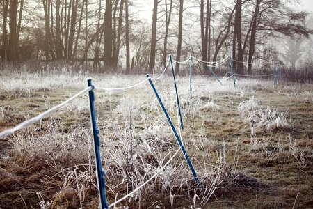 Frozen frost wintry photo