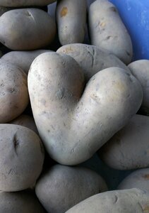 Eat nutrition heart shaped