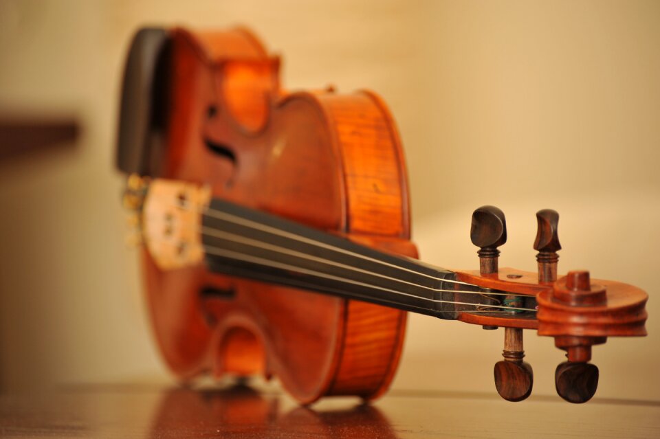 Musical sound musician