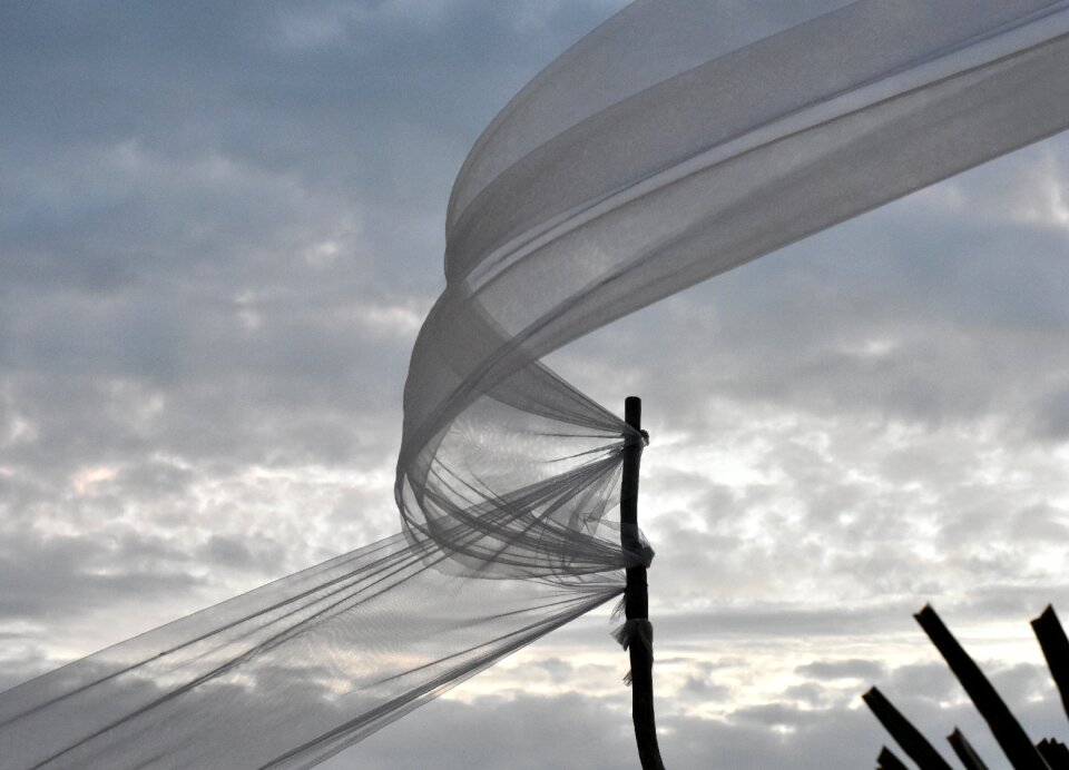 Summer movement zingst