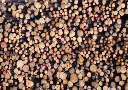 Timber pattern stack