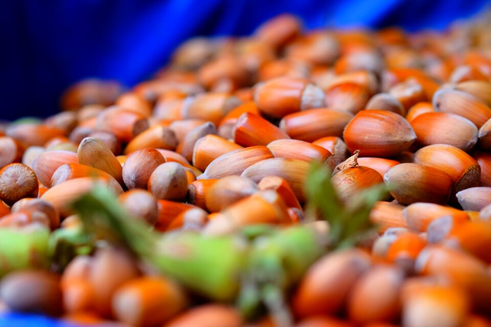 Peanuts dried fruits and nuts greengrocer