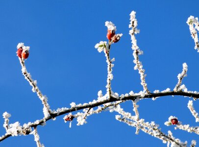 Gel frost sky photo