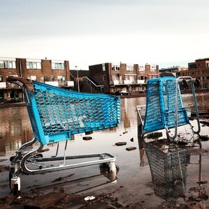 Caddy shopping cart city