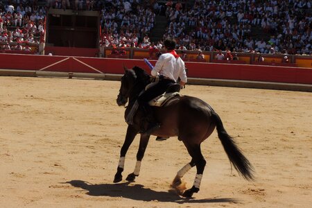 Rejoneo plaza pamplona