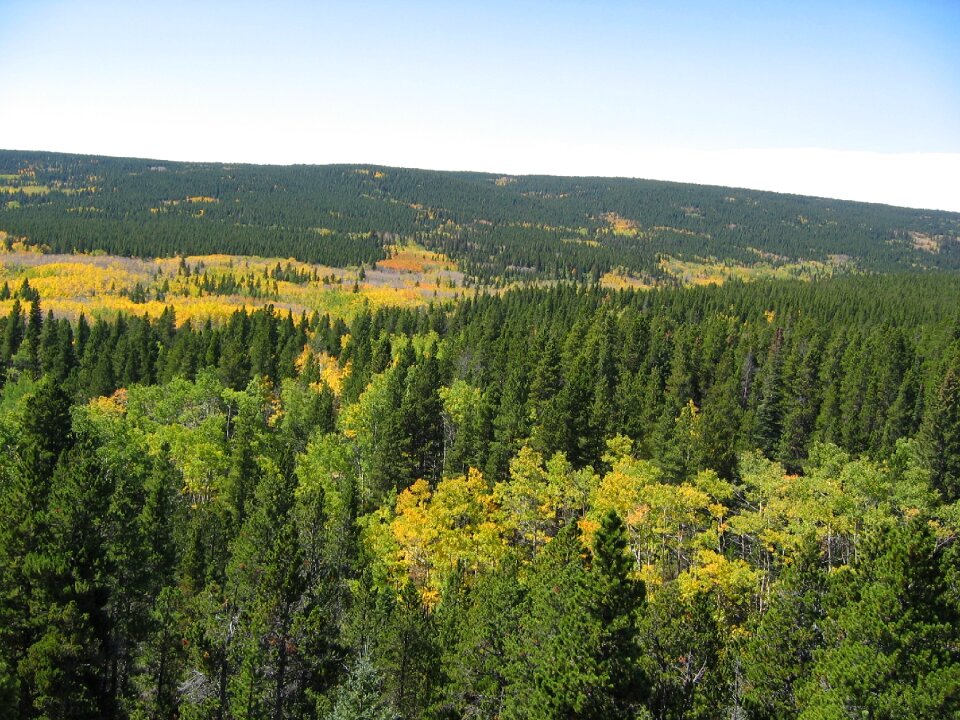 Background landscape nature