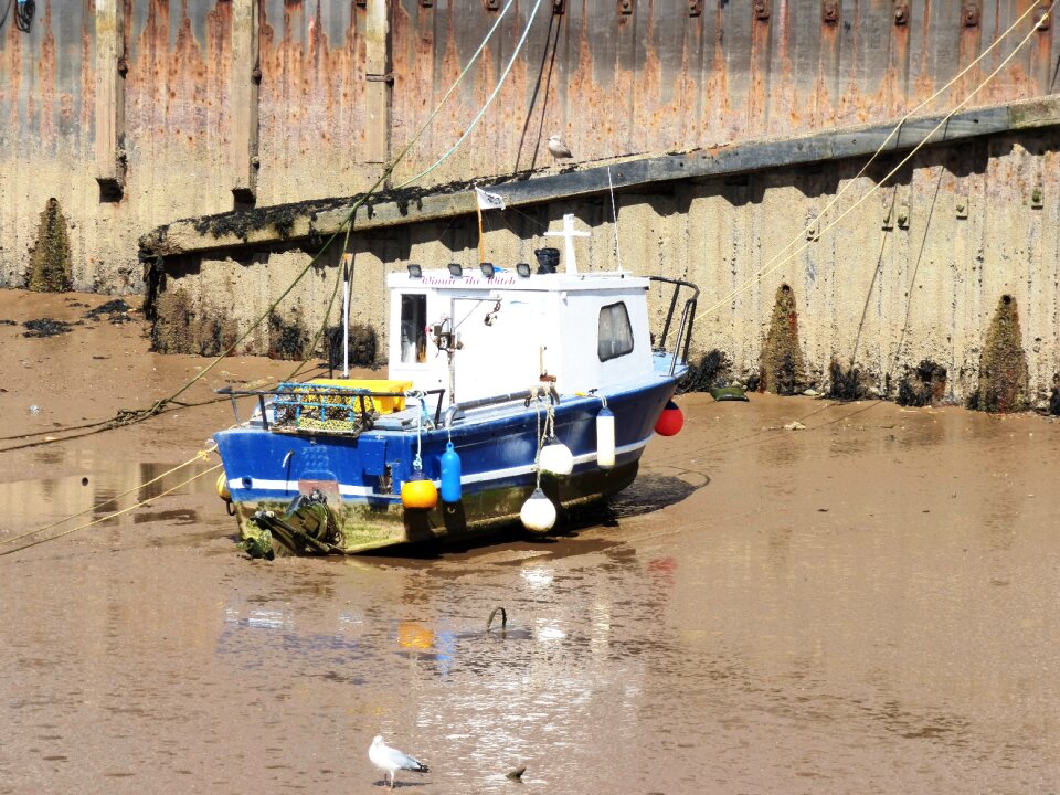 Fishing landscape marina