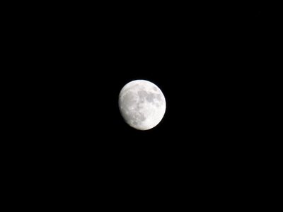 Night black sky full moon