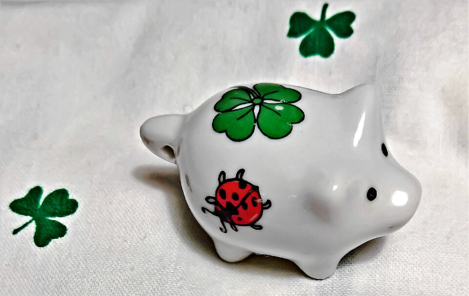 Symbol of good luck four leaf clover ladybug