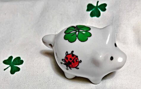 Symbol of good luck four leaf clover ladybug