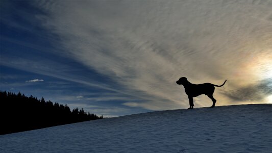 Silhouette hill evening