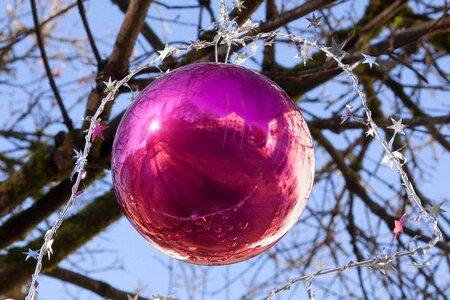 Christmas tree festive photo