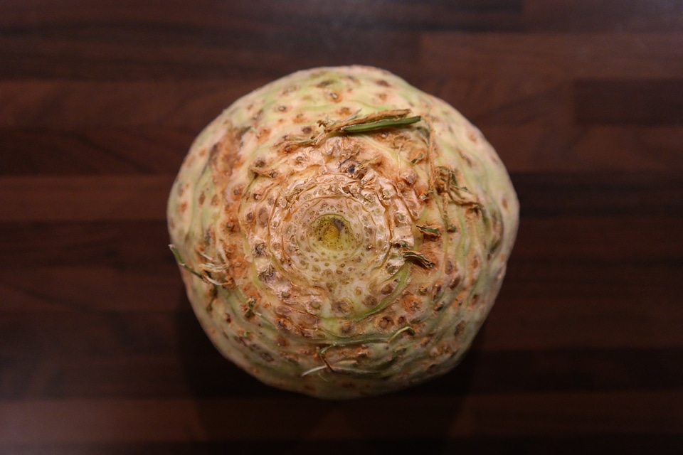Turnip tuber apium graveolens var rapaceum