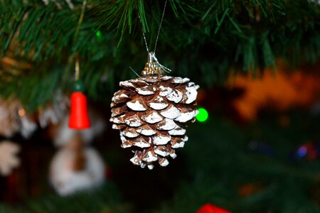 Christmas tree celebrate ornament photo