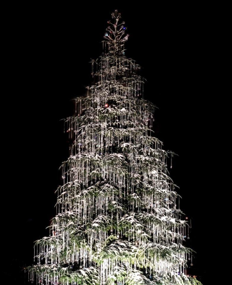Night christmas decorations white