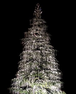 Night christmas decorations white