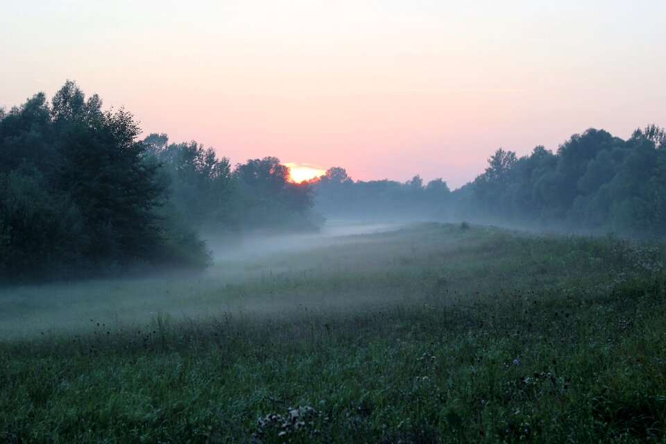 Landscape meadow grass