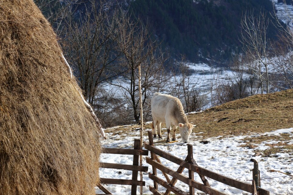 Hay countryside rural
