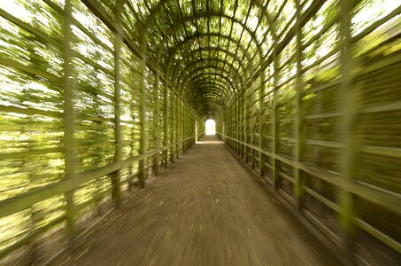 Green travel natural