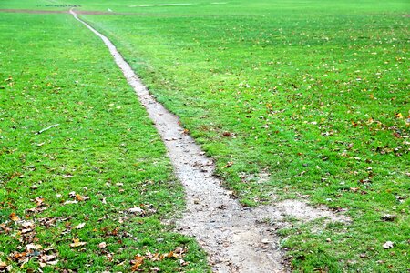 Away path meadow