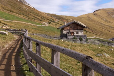 Alpine nature south tyrol