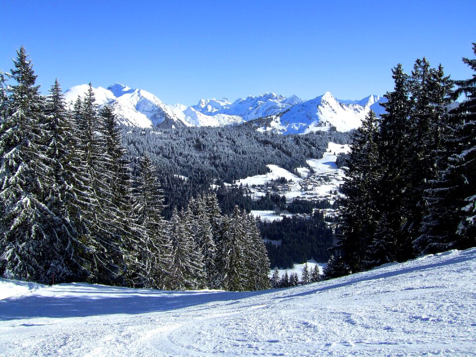 Mountains trees photo