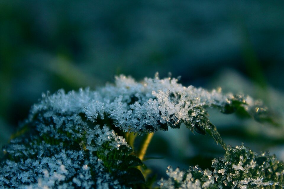 Cold frozen winter