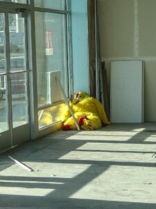 Store empty depressed