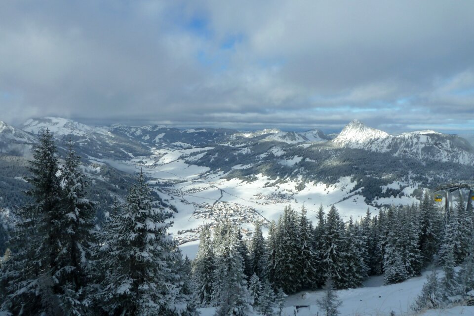 Austria tyrol trees