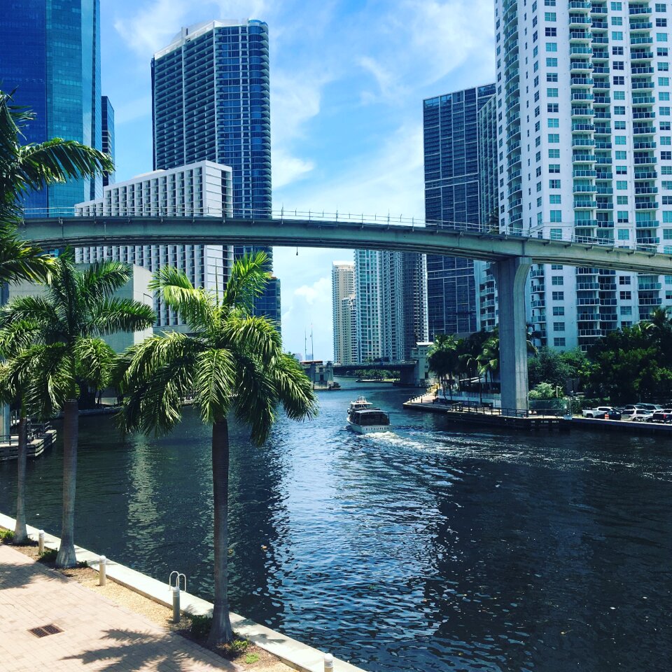 Skyscraper skyline palm trees
