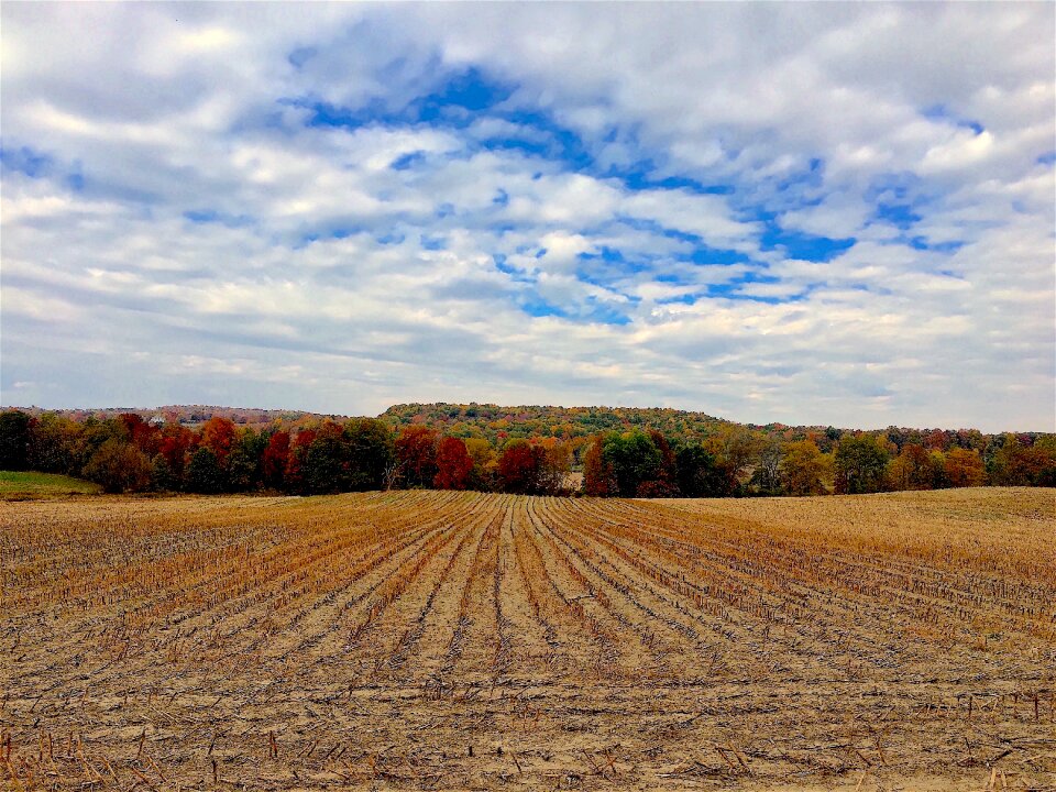 Nature autumn season