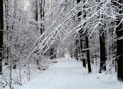 White wintry cold