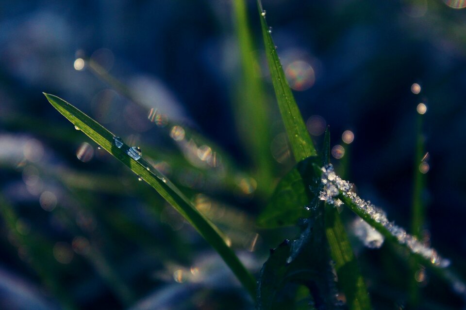 Water water dripping drip