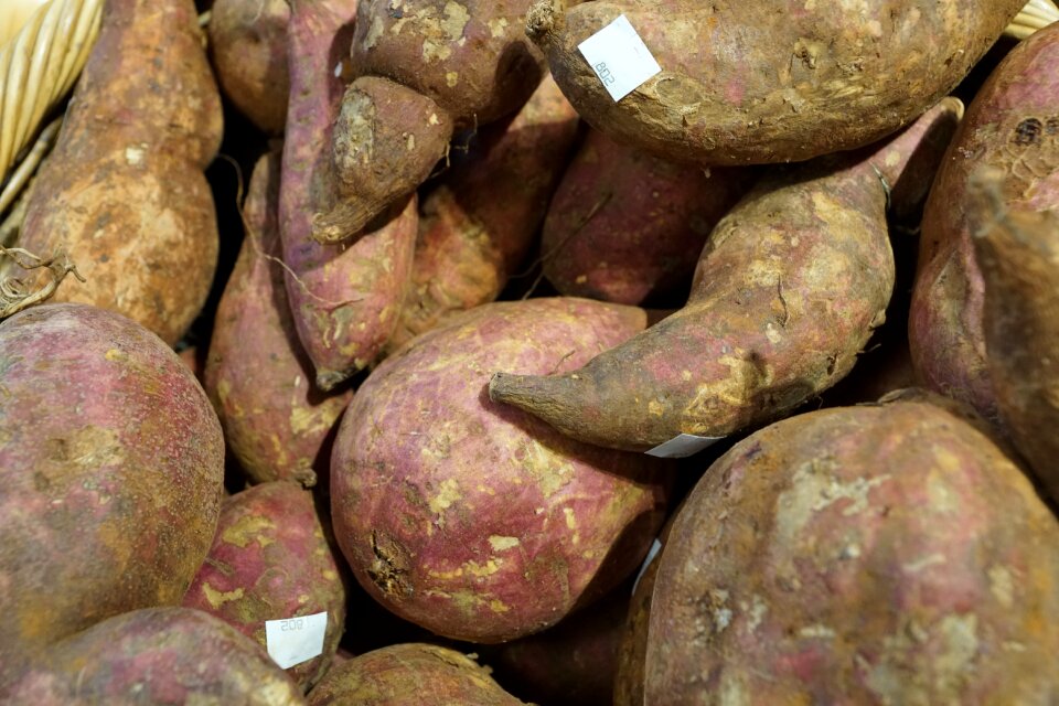 Vitamins food autumn
