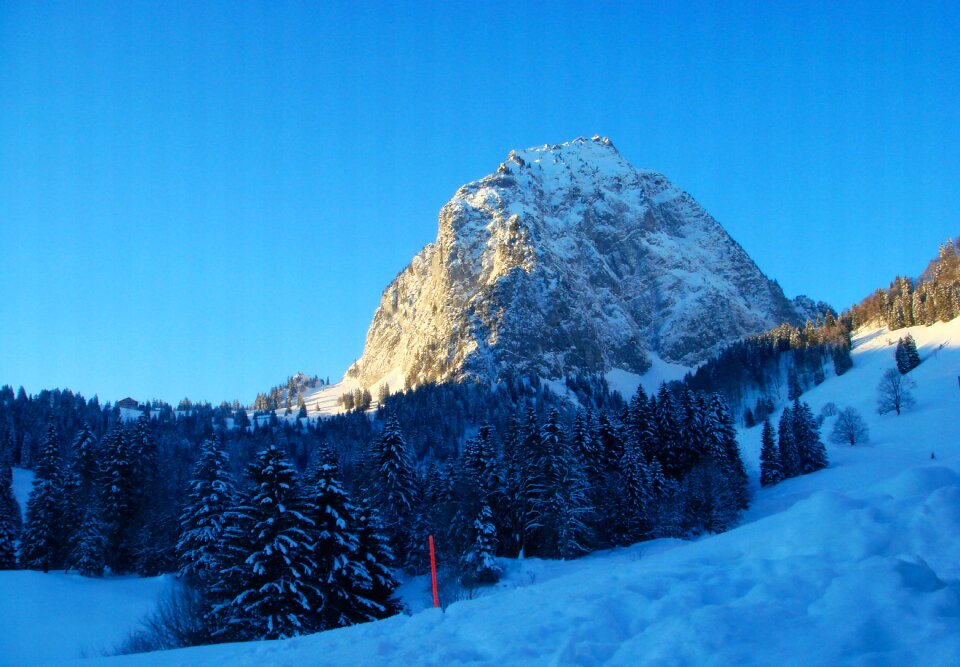 Winter landscape nature