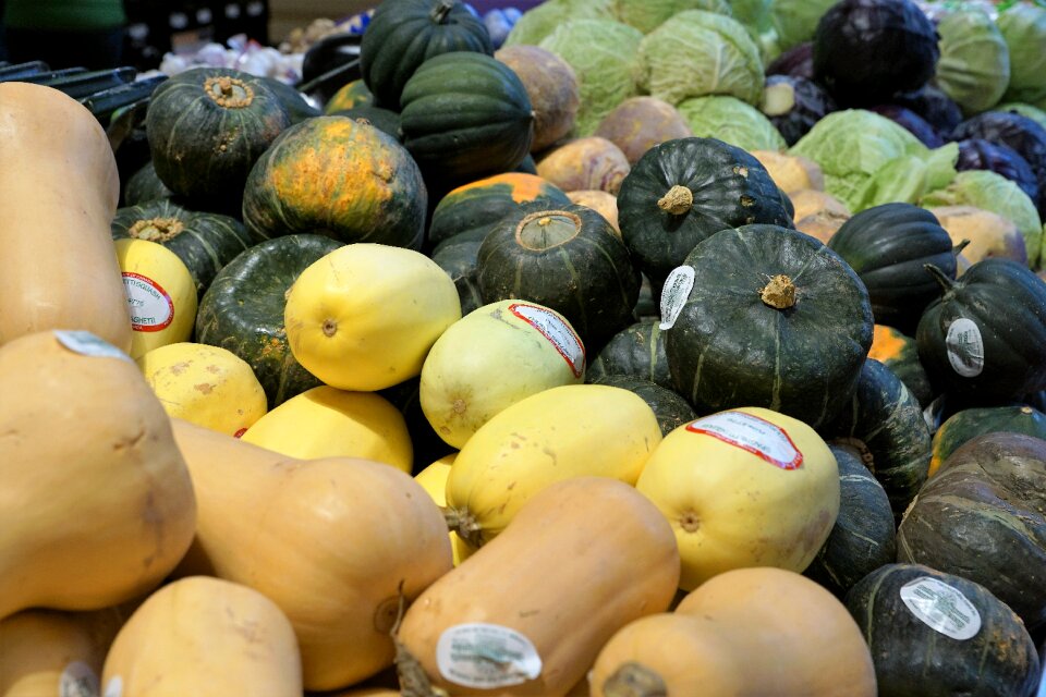 Vitamins food autumn