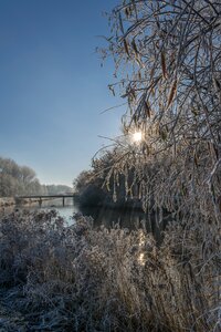 Hoarfrost frost nature photo