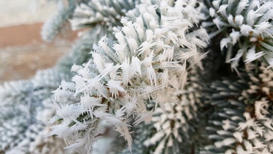 Snow crystal crystal mature