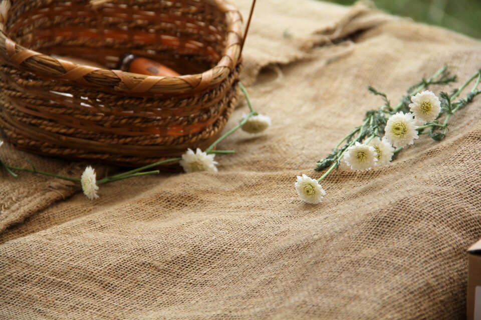 Basket nature garden