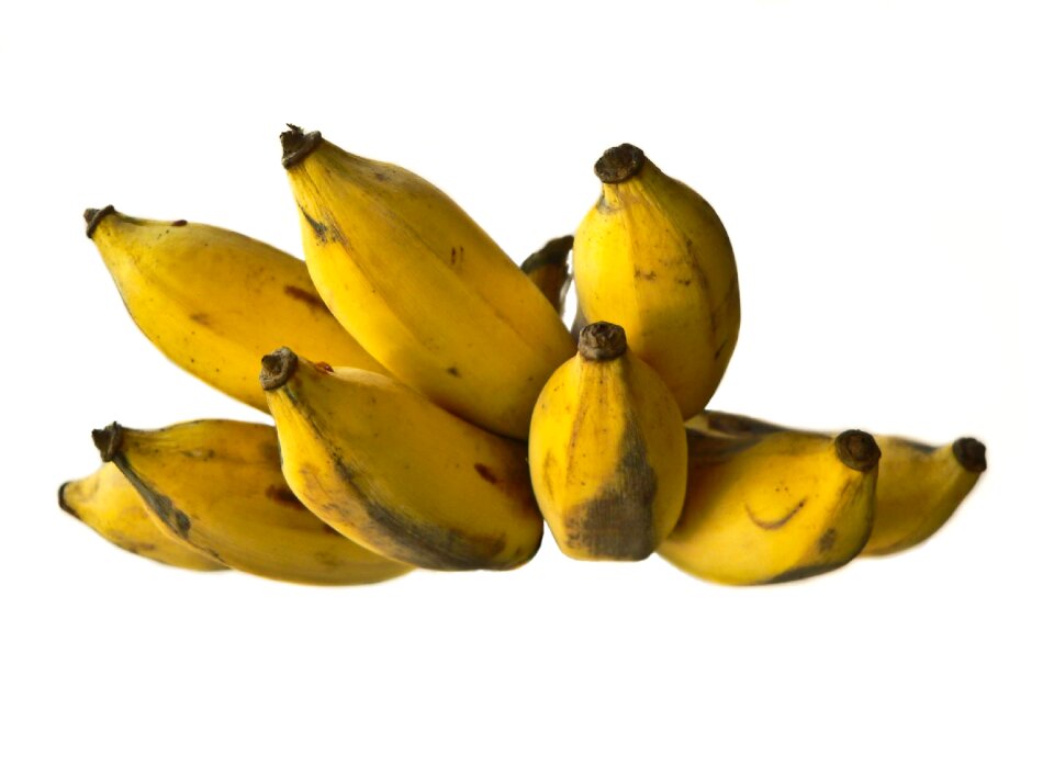 Healthy eating nutrition